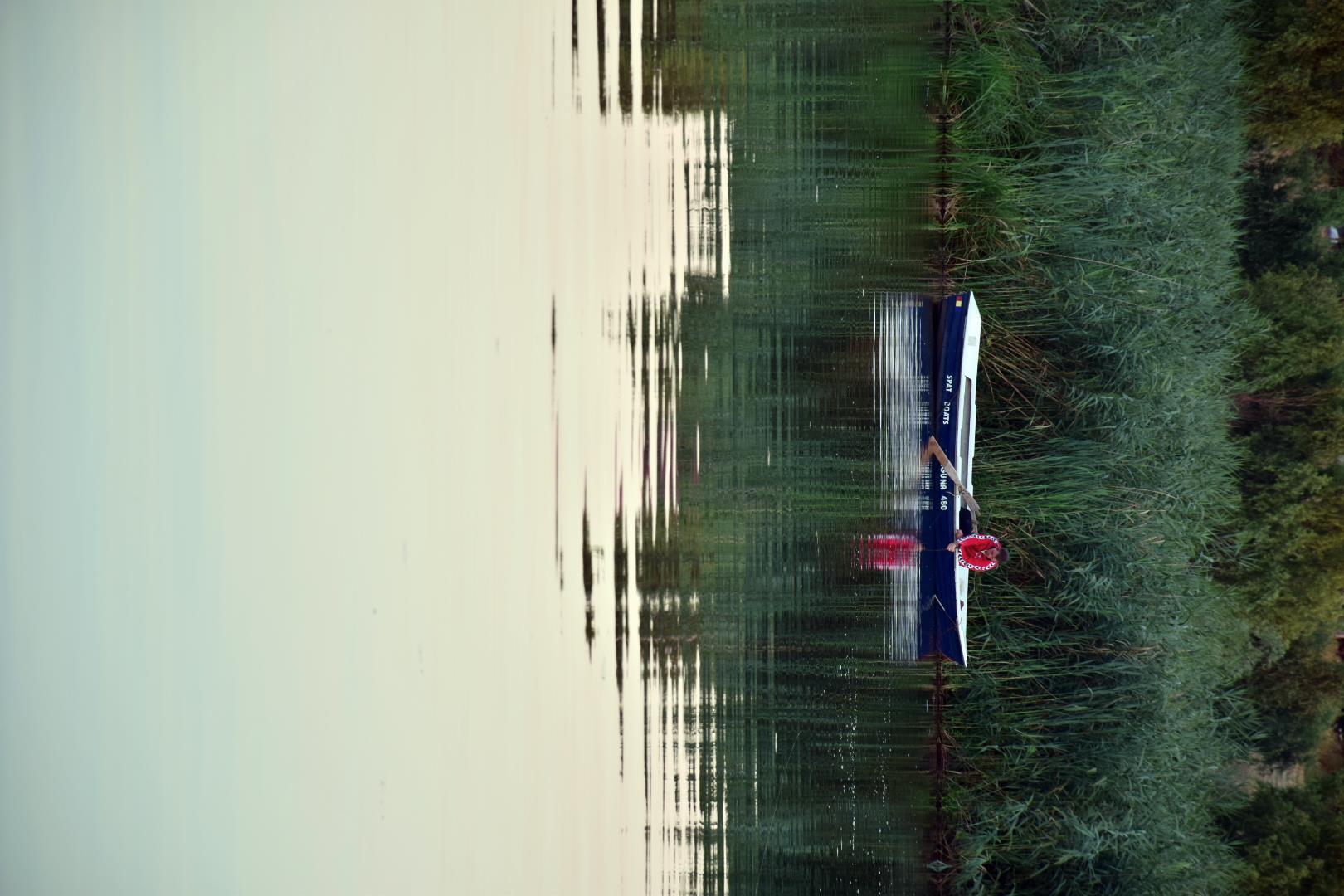 Tancabesti 13 - 15 aug. - csc1026.JPG